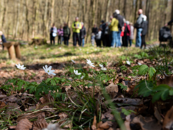 20190417 DSC 0410 Karin Laursen