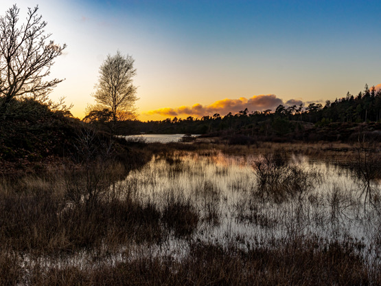 20200304 1747 FL IMG 4365