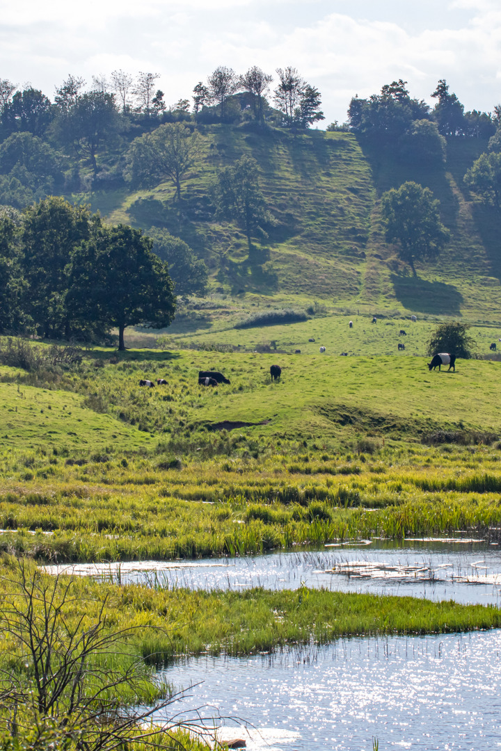 20160826 1534 FL MG 3993