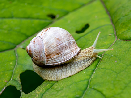 20200723 1509 FL IMG 1444