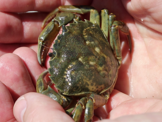 Vlcsnap 2018 07 11 14H14m32s390