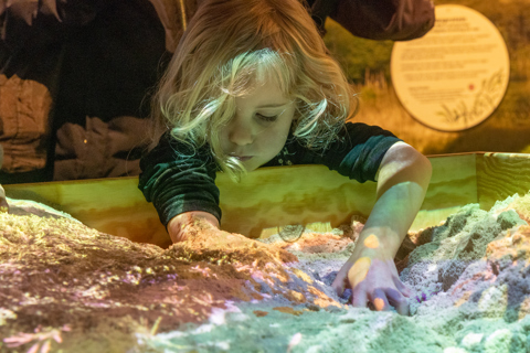 Økolariets Indvielse 2025 (44)