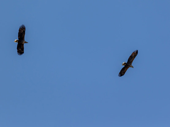 20210401 1635 FL K6A0405