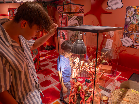 20240624 1837 FL 1K6A1715 Enhanced NR