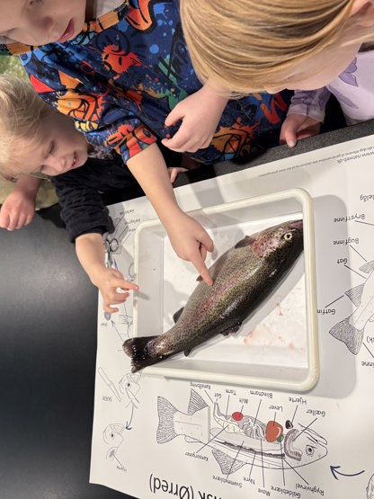 20260211 105736267 Ios