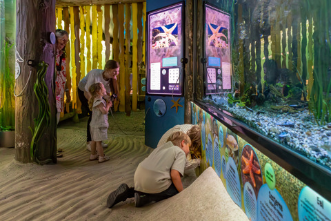 20240624 1516 FL 1K6A0904 Enhanced NR