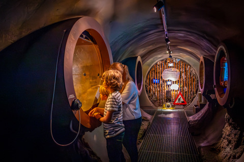 20240624 1717 FL 1K6A1327 Enhanced NR