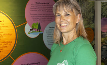 Lene 1