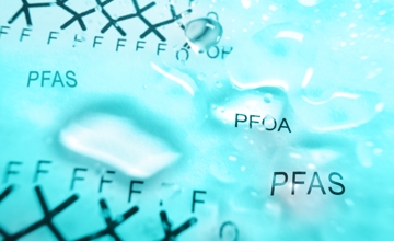 Shutterstock 2517804423