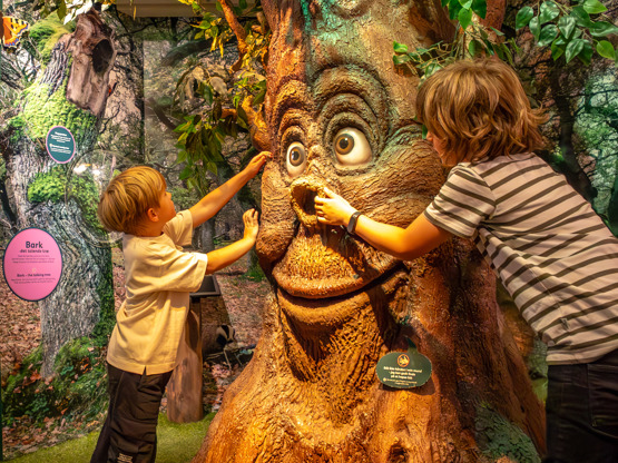 20240624 1725 FL 1K6A1375 Enhanced NR