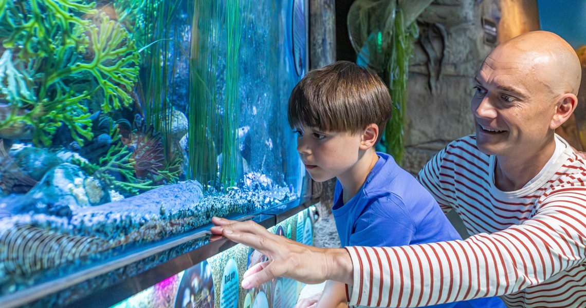 20240624 1444 KL 1G0A3563 Enhanced NR