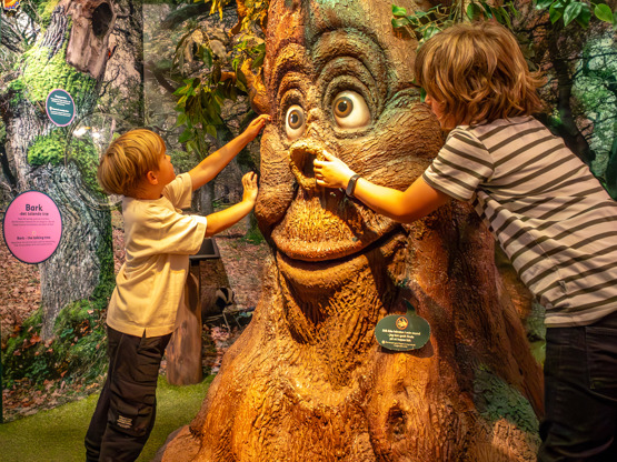 20240624 1725 FL 1K6A1375 Enhanced NR