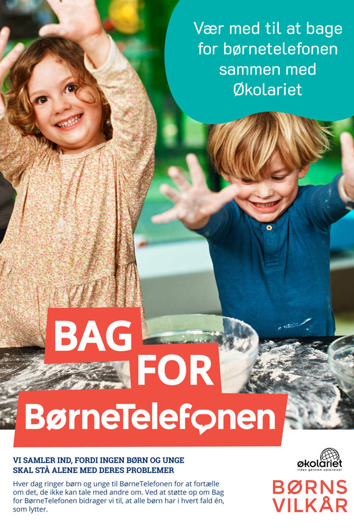 Bag For En Sag Invitation