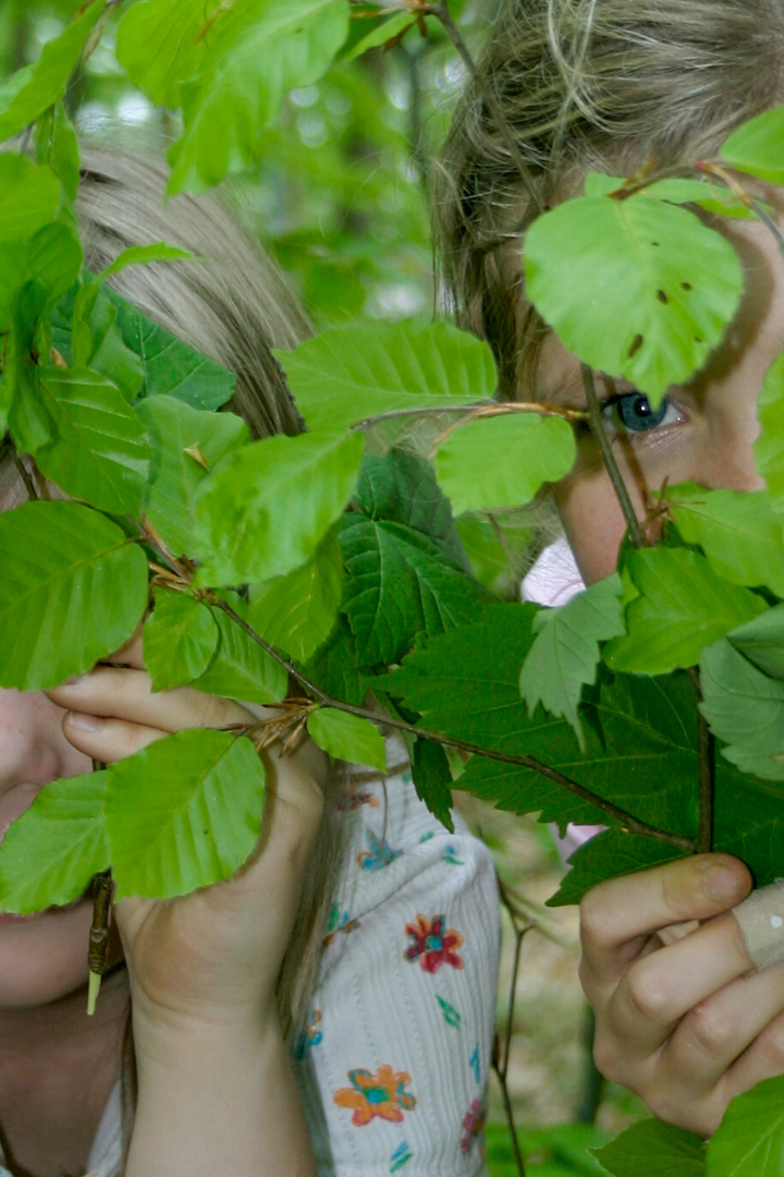 20060511 1353 FL IMG 5582