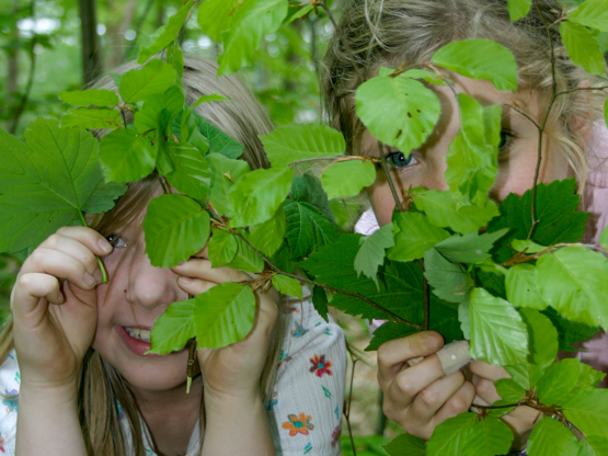 20060511 1353 FL IMG 5582