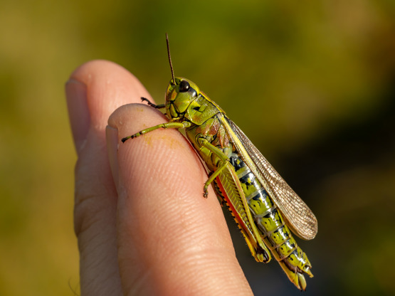 20220916 1751 FL K6A9458