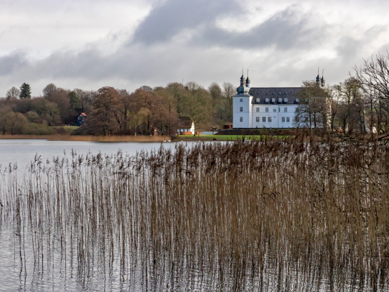 20190117 1227 FL IMG 2182