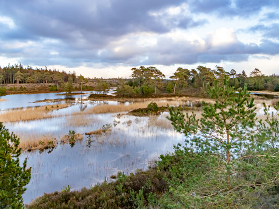 20200304 1718 FL IMG 4345